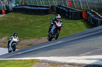 Oulton-Park-20th-March-2020;PJ-Motorsport-Photography-2020;anglesey;brands-hatch;cadwell-park;croft;donington-park;enduro-digital-images;event-digital-images;eventdigitalimages;mallory;no-limits;oulton-park;peter-wileman-photography;racing-digital-images;silverstone;snetterton;trackday-digital-images;trackday-photos;vmcc-banbury-run;welsh-2-day-enduro